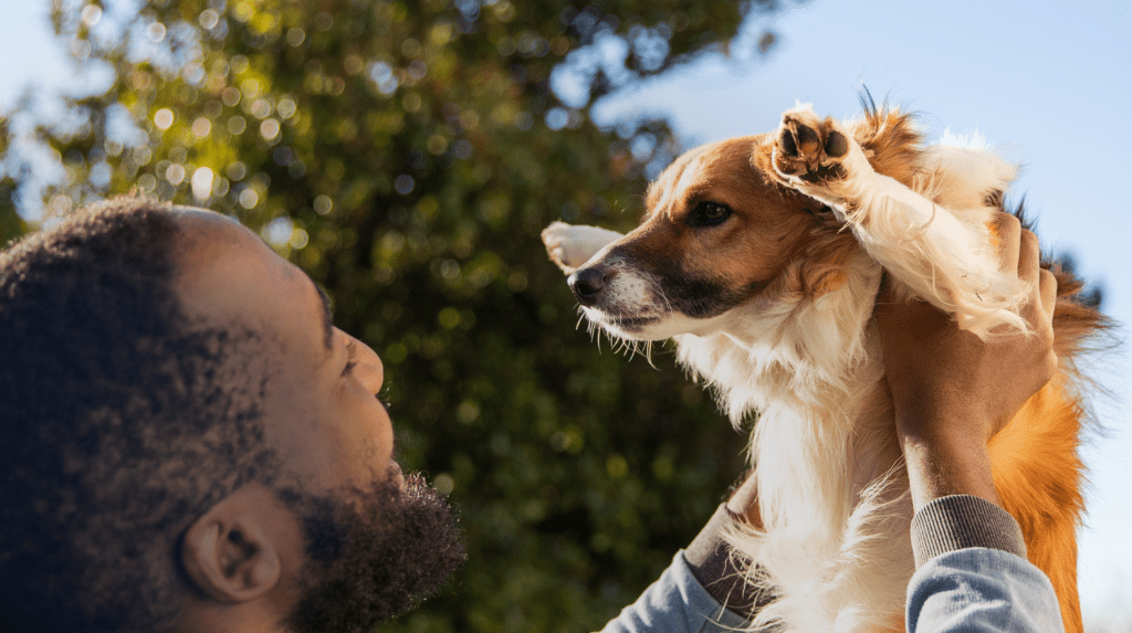 plano de saude pet porto seguro